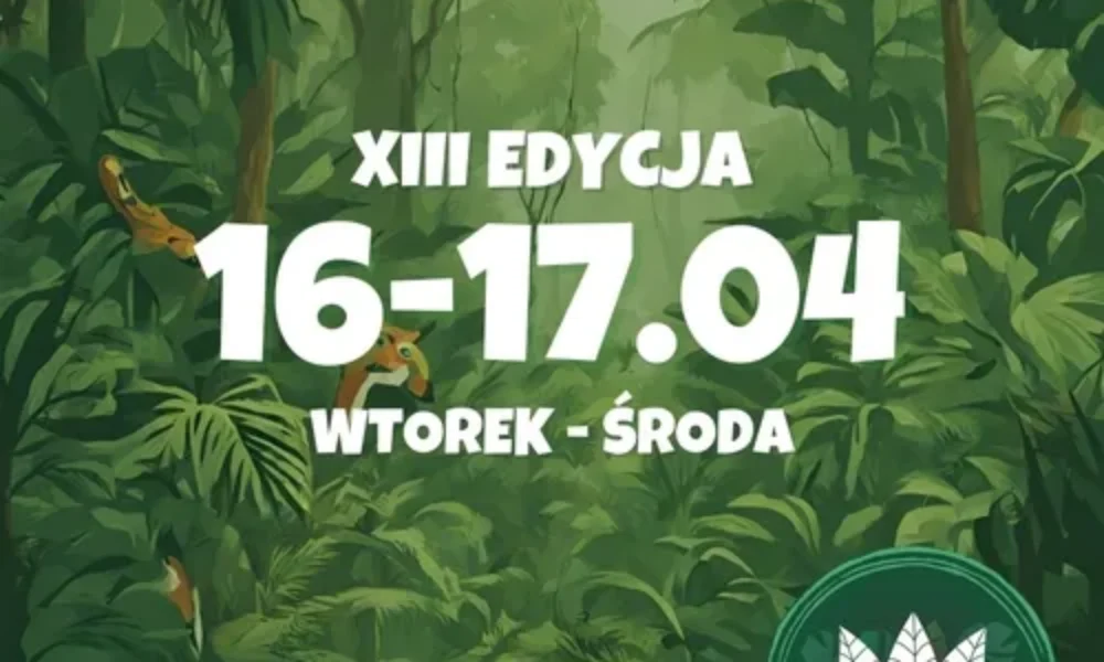 Łódź Jungle Web 2024