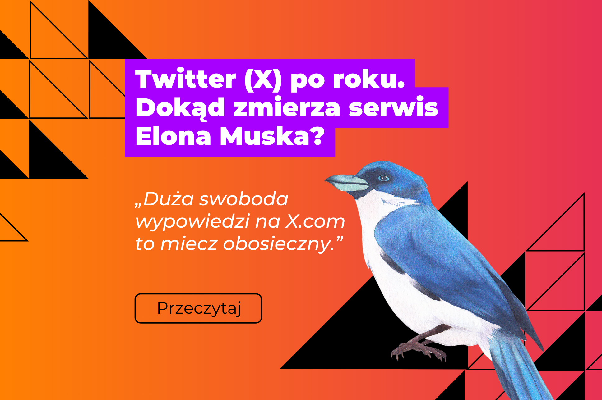 Twitter (X) po roku. Dokąd zmierza serwis Elona Muska? - grafika promująca artykuł - tło gradient różowo-pomarańczowy i niebieski ptaszek